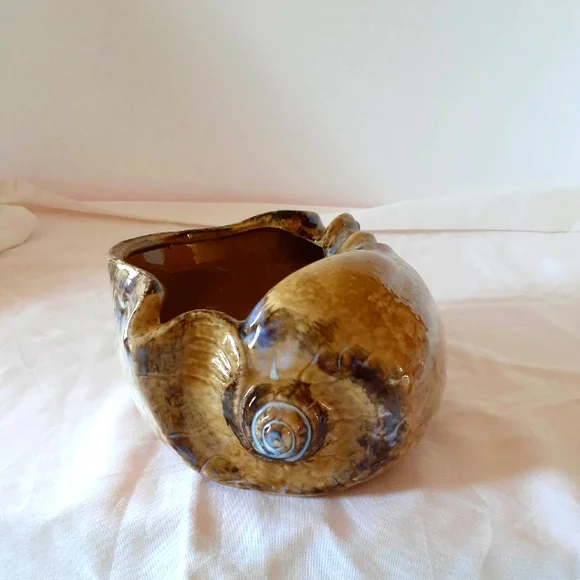 Conch Ceramic Shell Decor. - Picture 1 of 7
